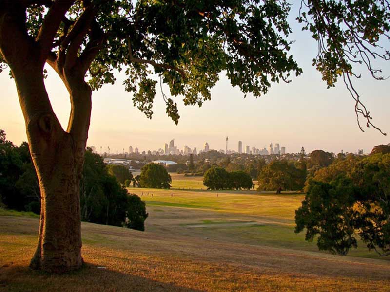 Buyers Agent Purchase – Gilderthorpe Ave, Randwick Buyer - Outside View