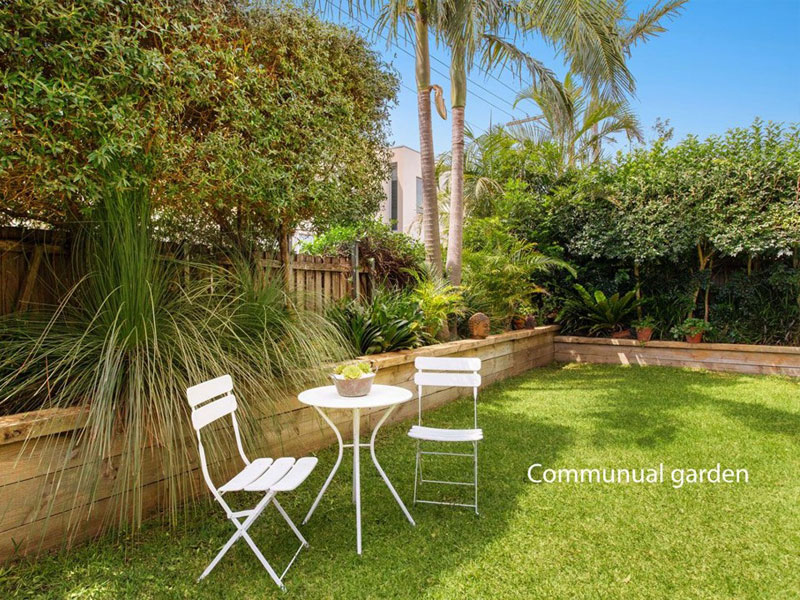 Buyers Agent Purchase in Ravenswood Ave, Randwick - Communual Garden