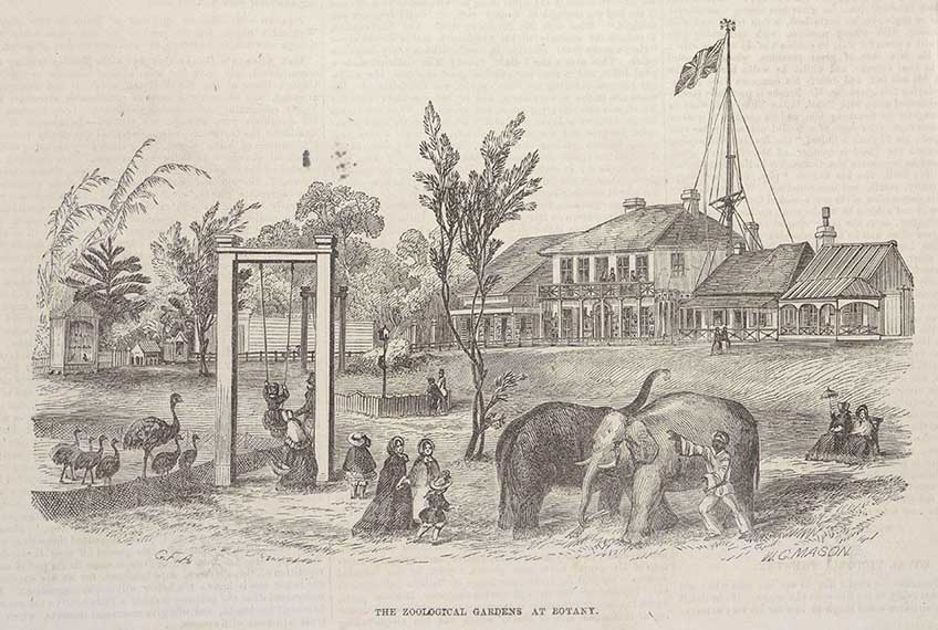 Botany Pleasure Gardens 1855