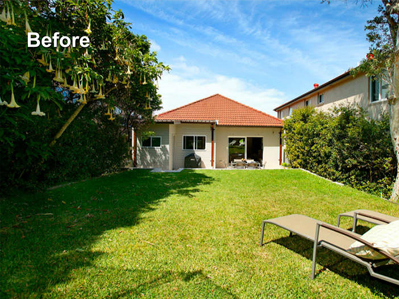 Renovation Purchase in O'Donnell St, North Bondi, Sydney - Backyard Before