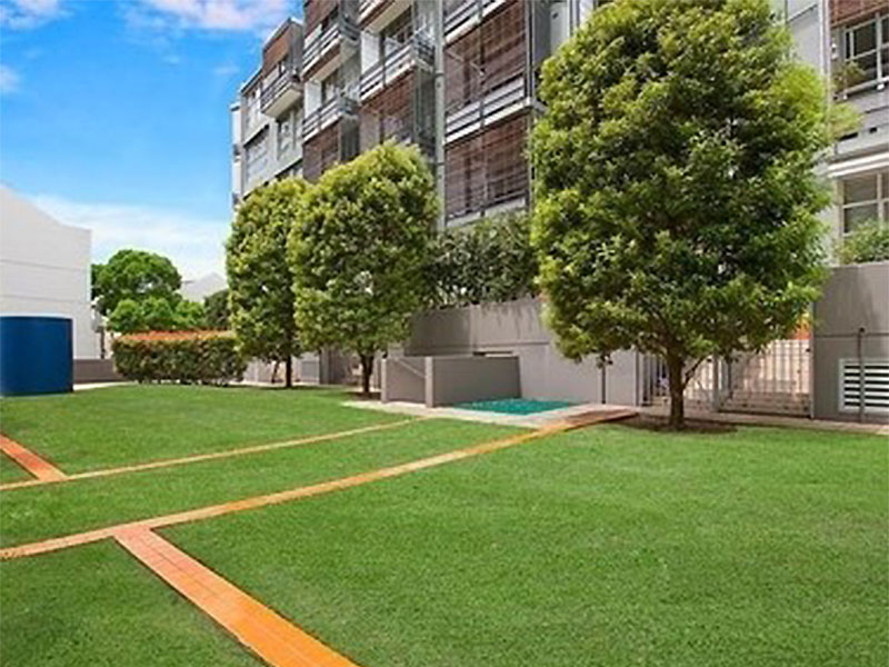 Home Buyer in Boundary Street Paddington, Sydney - Courtyard