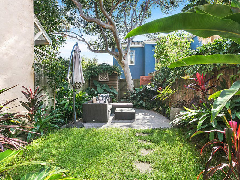 Buyers Agent Purchase in Clovelly, Eastern Suburbs, Sydney - Garden