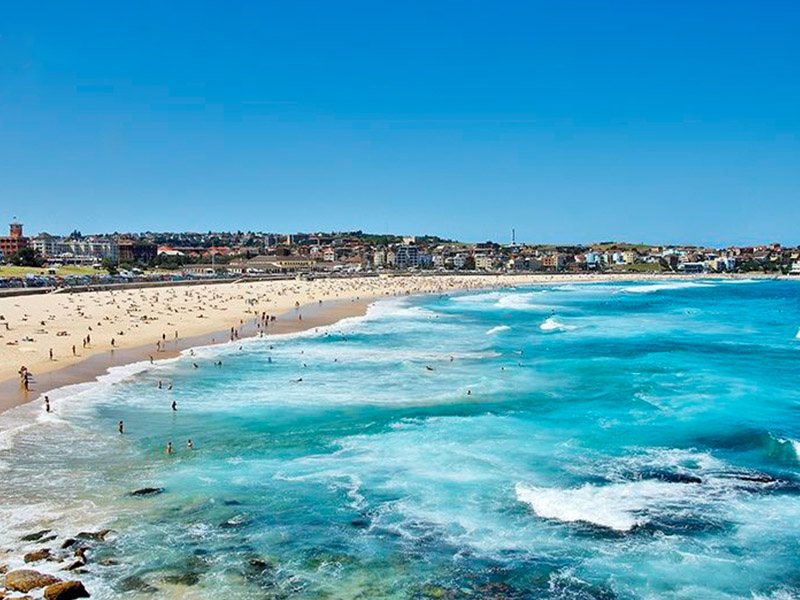 Buyers Agent Purchase in North Bondi, Sydney - Beach