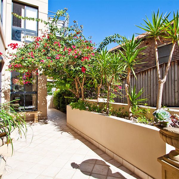 Buyers Agent Purchase – Bellevue Hill, Eastern Suburbs, Sydney - Courtyard