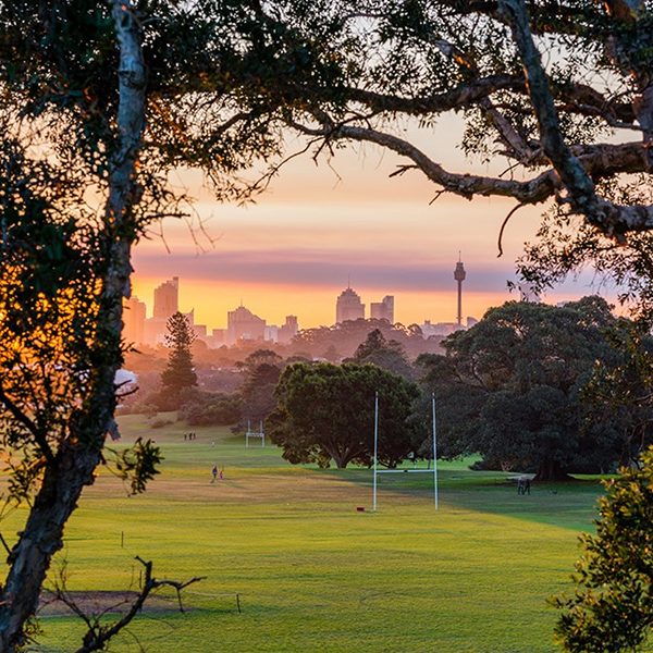 Buyers Agent Purchase – Queens Park Rd, Queens Park, Sydney - Field