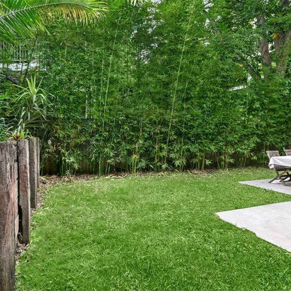 Buyers Agent Purchase – Park Ave, Mosman, Sydney - Garden