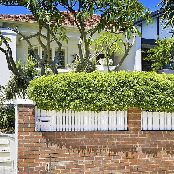 Buyers Agent Purchase – Waverly St, Randwick, Sydney - House