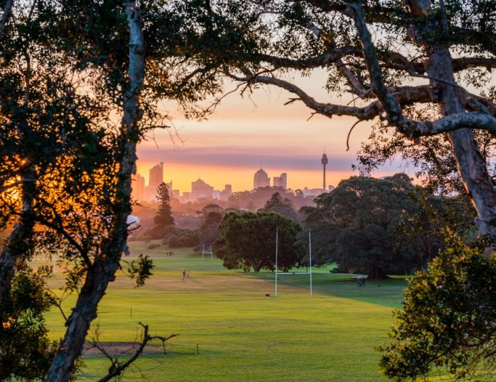 how-changing-market-conditions-affect-property-prices Queens Park Property in Sydney