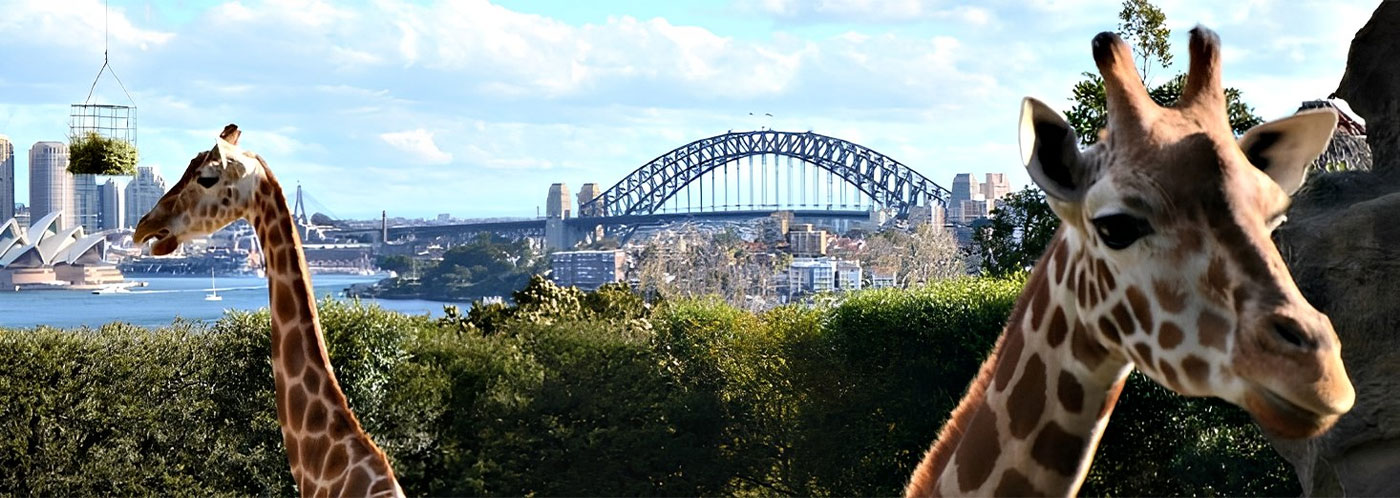 lower-north-shore-sydney