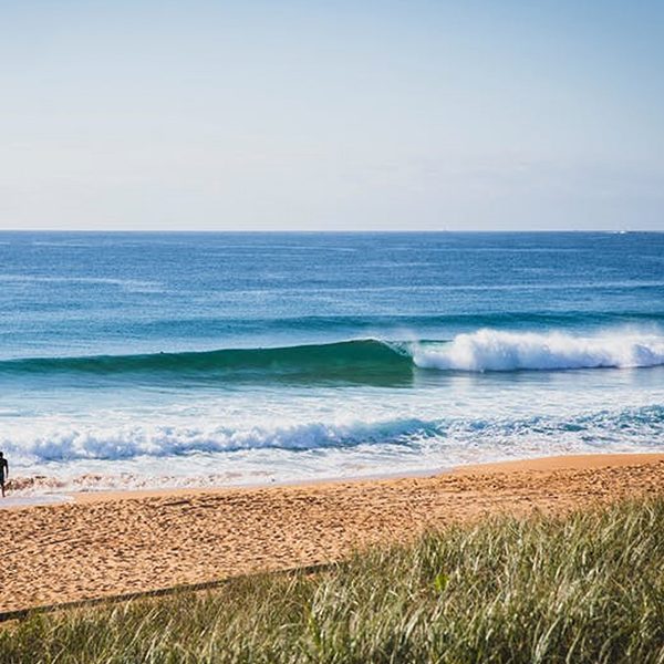 Buyers Agent Purchase – Cromer, Sydney - Beach